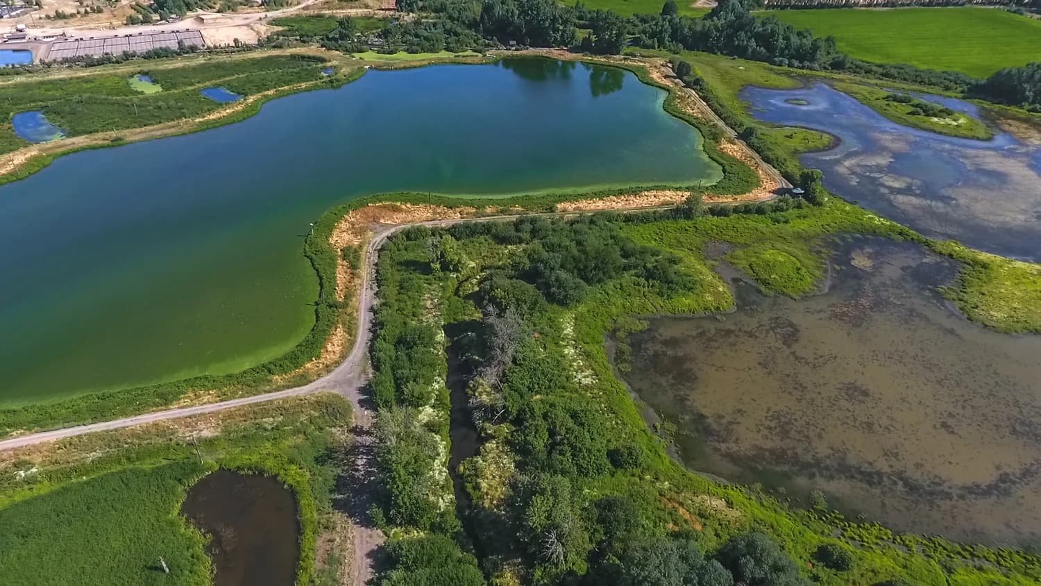 Fern Hill Wetlands